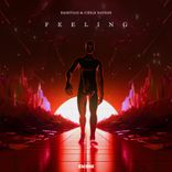 Portada para "Feeling"