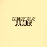 Portada para "Bionica"