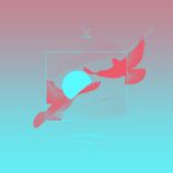 Portada para "Strange Birds"