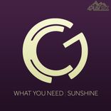 Artwork for "What You Need - Sunshine"