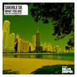 Artwork for "What You Are"