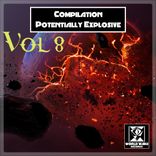 Artwork voor "Compilation Potentially Explosive, Vol. 8 Worldwake Records"