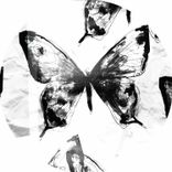 Any Day Can Be the Last