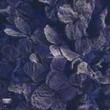 Artwork for "I Am Not That"