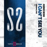 Artwork for "I Can't See You"