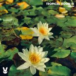 Artwork für "Tropical Room III"
