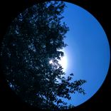 Artwork for "Flow Through You"