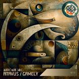 Artwork voor "Atavus / Gamely"