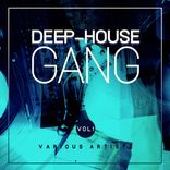 Artwork für "Deep-House Gang, Vol. 1"