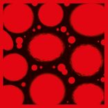 Artwork für "Lensomni EP"