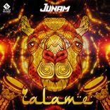 Artwork voor "Zalame"