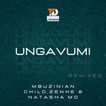 Artwork for "Ungavumi (Remixes)"