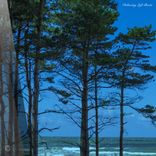 Conversational Gambit