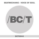 Artwork voor "Voice of Soul"