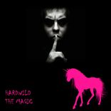 Artwork for "The Magic"