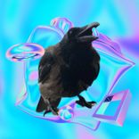 Artwork for "Divchinka"