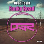 Portada para "Funky Road"