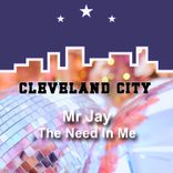 Portada para "The Need in Me"