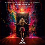 Artwork für "Never Give In"