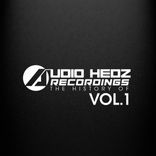 Artwork voor "The History Of Audio Hedz Recordings, Vol. 1"