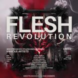 Artwork for "Maestri Ascesi x Flesh And Hammers - Flesh Revolution VA"