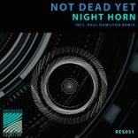 Artwork for "Night Horn"