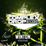 Portada para "Festive"