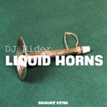 Artwork voor "Liquid Horns"