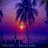 Artwork voor "Summer Night"