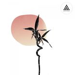 Artwork for "Vibration Exploration"