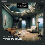 Artwork voor "Fire in Dub"