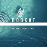 Artwork for "Looking Fresh (Cadena Pulse Remix)"