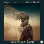 Artwork for "Sahara Winds (Thinkinsounds Remix)"