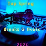 Artwork for "Top Spring Breaks & Beats 2020"
