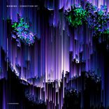 Artwork voor "Conection EP"