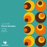 Portada para "Fire in the Rain"