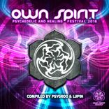 Artwork for "Own Spirit Festival 2016"