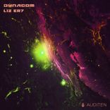 Artwork for "Liz ER7"