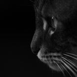 Artwork for "Still Can't Sleep (Chillout Mix)"