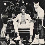 Artwork für "Dance, if You Feel"