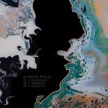 Artwork for "Convergent / Biomimicry / Evolution"