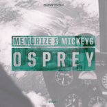 Artwork for "Osprey"