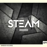 Portada para "Steam"