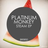 Artwork voor "Steam"