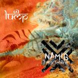 Artwork for "Namib"
