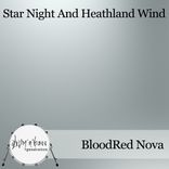 Artwork voor "Star Night & Heathland Wind"