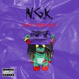 Artwork for "N.G.K."
