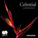 Artwork for "Celestial"