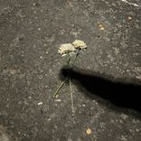 Artwork for "i.gotta.go"