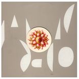 Artwork for "Falcon / Torino"